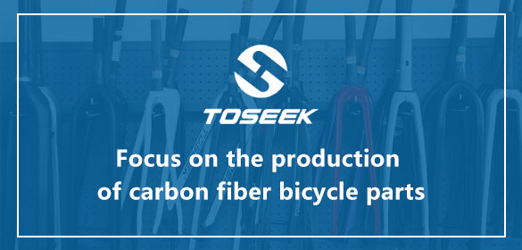 toseekcarbon.com